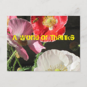 Carte Postale Bee In The Poppies Post Card