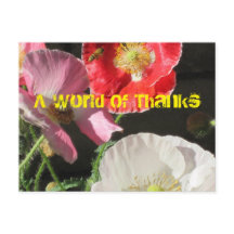 Bee In The Poppies Post Card