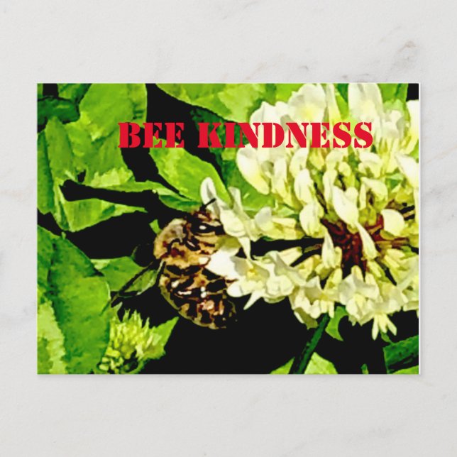 Carte postale Bee Kindness (Devant)