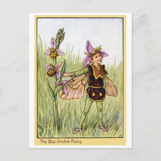 Carte Postale Bee Orchis Fairy (Devant)