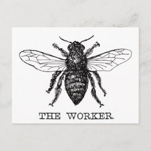 Carte Postale Bee Worker Honey Black Bumblebee