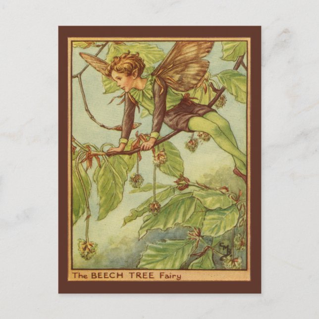 Carte Postale Beech Tree Fairy by Vision Studio (Devant)