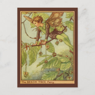 Carte Postale Beech Tree Fairy by Vision Studio