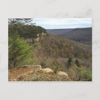 Carte postale Beersheba Springs