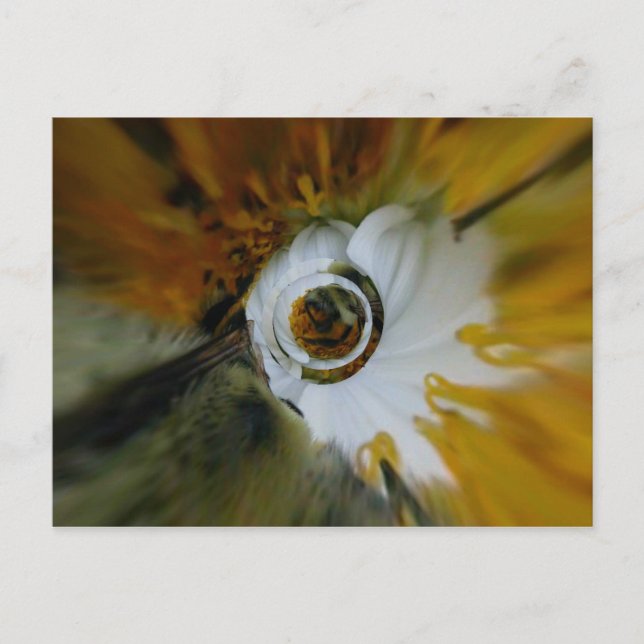 Carte Postale Beez torride (Devant)