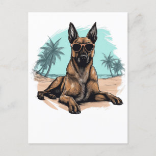 Carte Postale Belge-malinois avec lunettes de soleil à la plage