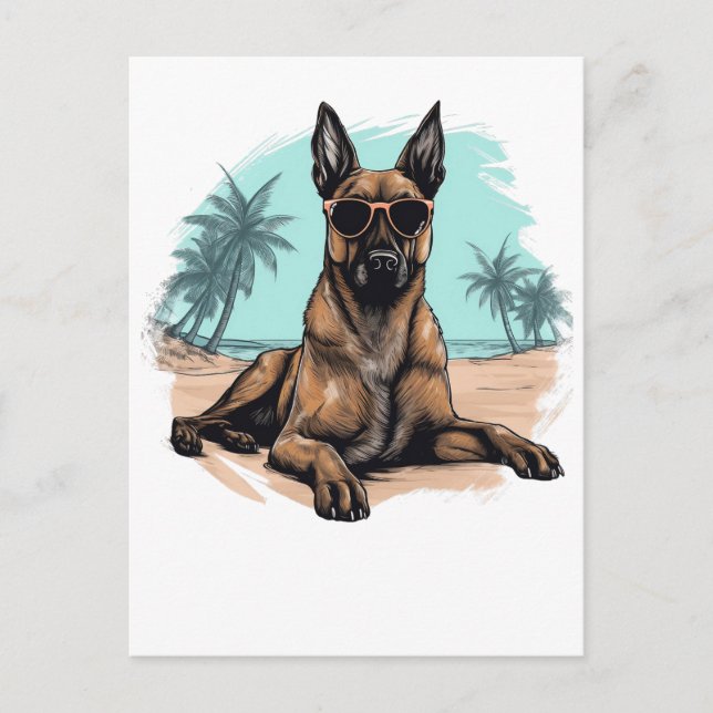 Carte Postale Belge-malinois avec lunettes de soleil à la plage (Devant)