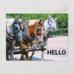 Carte Postale Belgian Horses