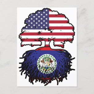 Carte Postale Belize Bélizien Américain États-Unis Arbre Racines