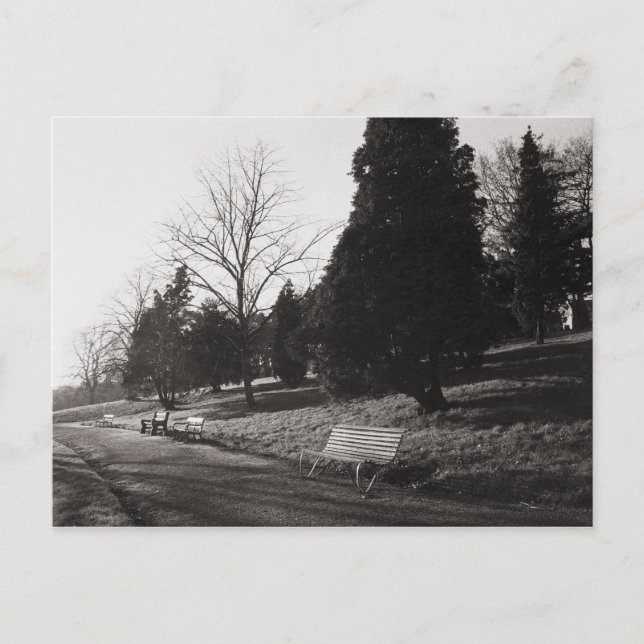 Carte Postale Bell Vue Park, Newport, Mon (Devant)