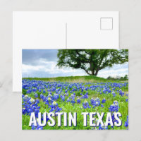 Belle Bluebonnets Austin Texas Photographie