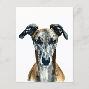 Carte Postale Belle brosse Greyhound illustration