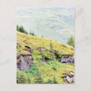 Carte Postale Belle campagne écossaise