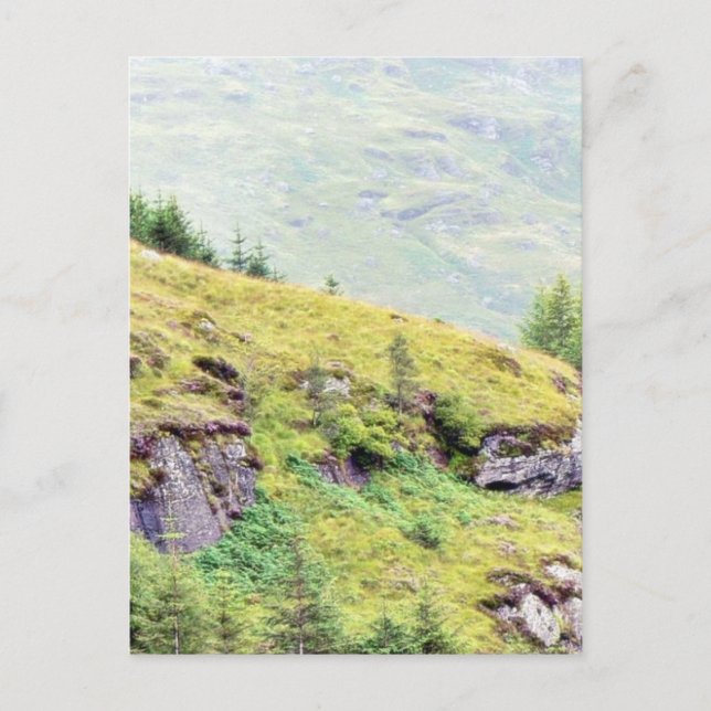 Carte Postale Belle campagne écossaise (Devant)