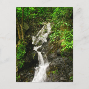 Carte Postale Belle cascade dans une forêt verdoyante