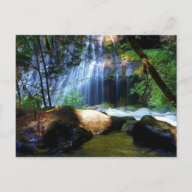 Carte Postale Belle Cascade Paysage de la Jungle (Devant)