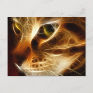 Carte Postale Belle Chat Feu Ghoost