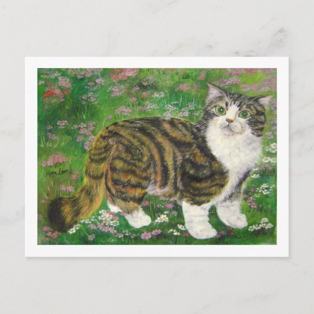 Carte Postale belle chatte (Devant)