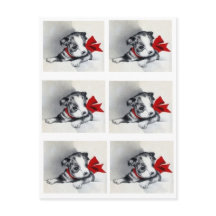 Belle Chiot Vintage Boston Terrier