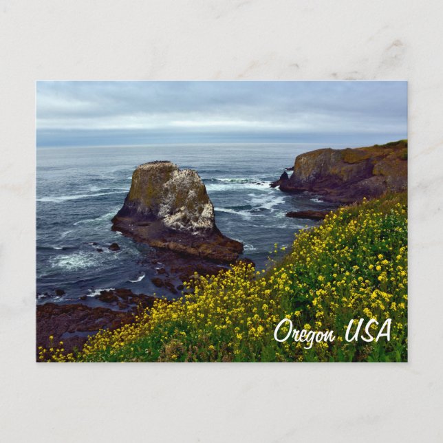 Carte Postale Belle côte de l'Oregon (Devant)