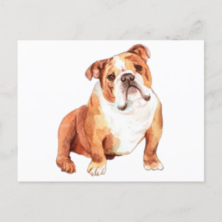 Carte Postale Belle drôle britannique Bulldog assis