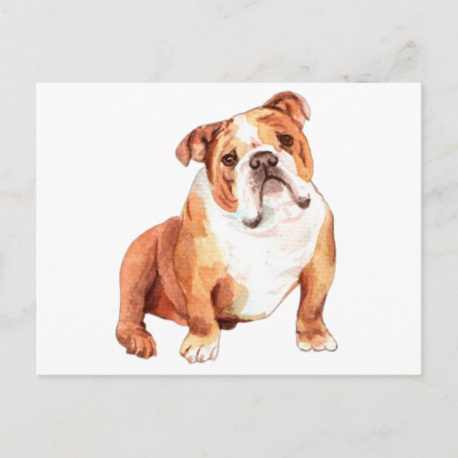 Carte Postale Belle drôle britannique Bulldog assis (Devant)