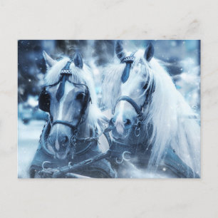 Carte Postale Belle équipe de chevaux Photo d'hiver