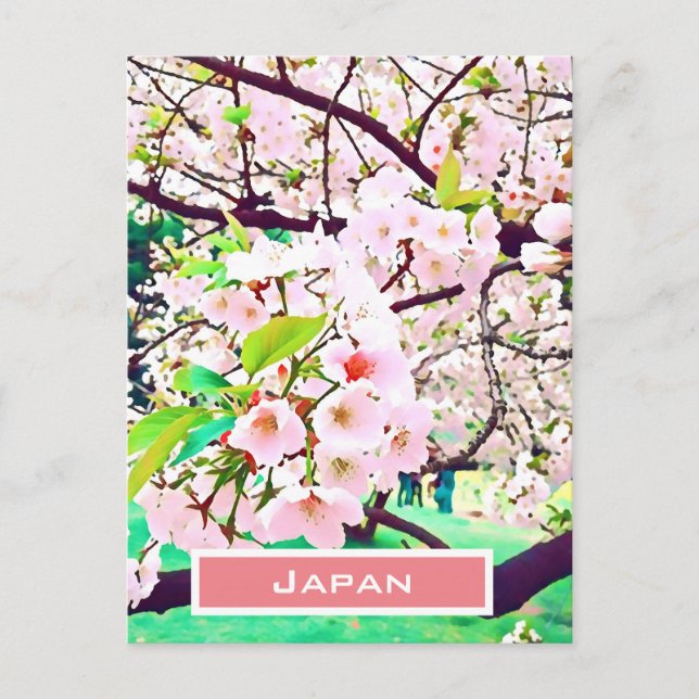 Carte Postale Belle fleur de cerisier rose Voyage au Japon (Devant)