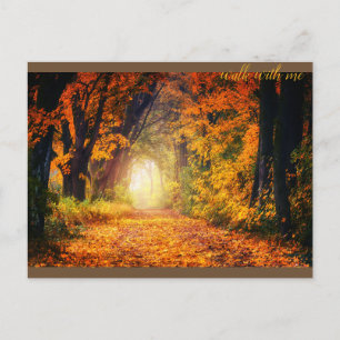 Carte Postale Belle forêt d'automne