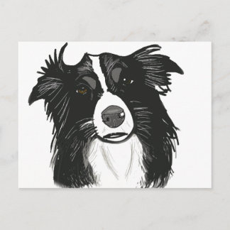 Carte Postale Belle frontière noire et blanche Collie