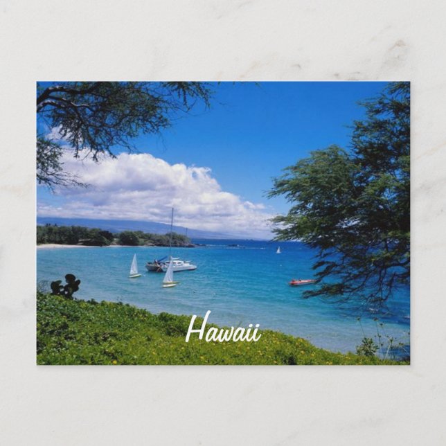 Carte Postale Belle Hawaii (Devant)