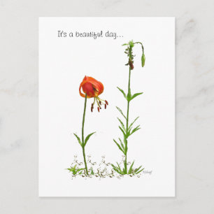 Carte Postale Belle Journée...