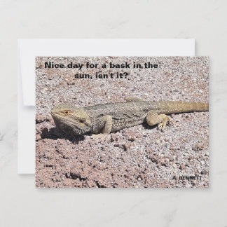 Carte Postale Belle journée pour lézarder au soleil