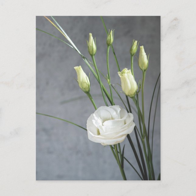 Carte Postale Belle Lisianthus Fleurs Blanches (Devant)