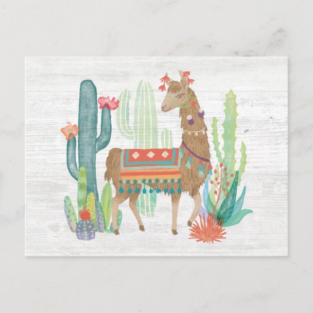 Carte Postale Belle Llamas III (Devant)