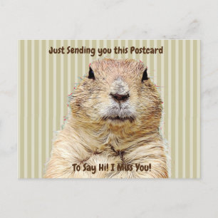 Carte Postale Belle Marmotte "Je TE Manque" Dit Bonjour