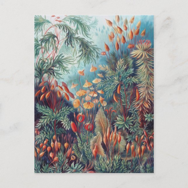 Carte Postale Belle Nature - Mousses (Devant)