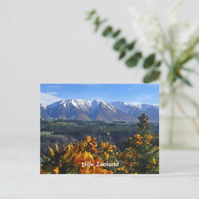 Carte Postale Belle Nouvelle-Zélande (Debout devant)