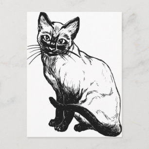 Carte Postale Belle oeuvre d'art noir et blanc - chat siamois