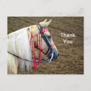 Carte Postale Belle photo de cheval Palomino Merci