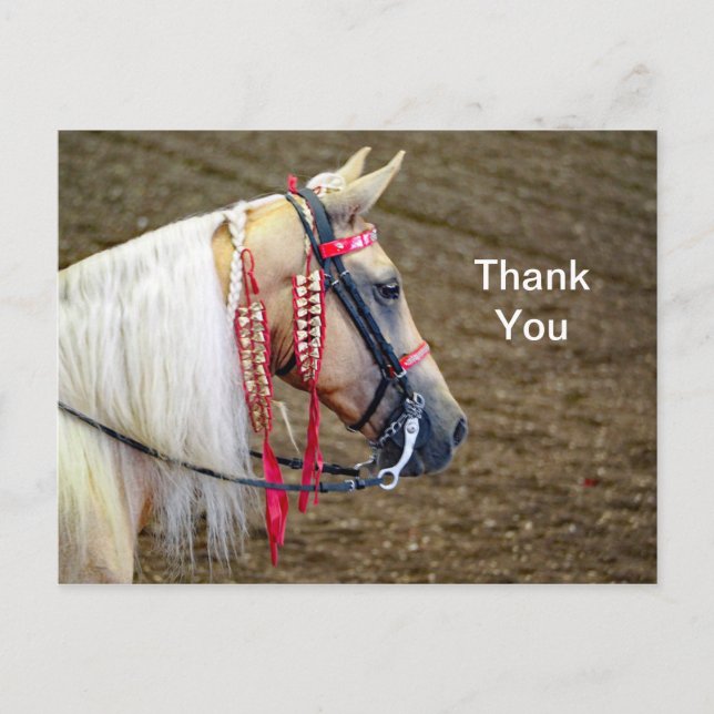 Carte Postale Belle photo de cheval Palomino Merci (Devant)