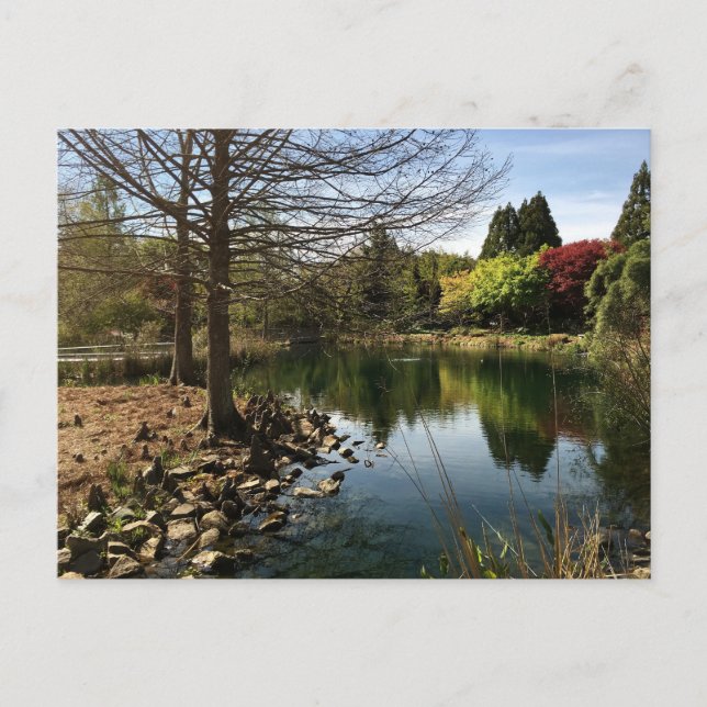 Carte Postale Belle photo d'un lac (Devant)