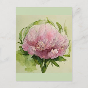 Carte Postale Belle pivoine rose