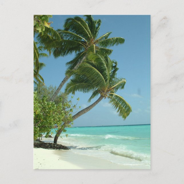 Carte Postale Belle plage, Maldives (Devant)