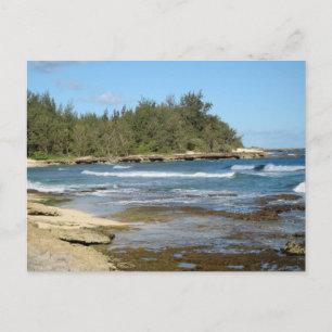 Carte Postale Belle plage Ocean Beach Oahu Hawaii