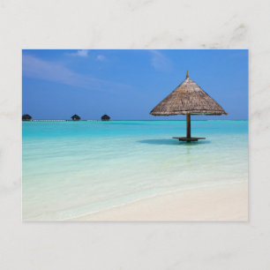 Carte Postale Belle plage tropicale aux Maldives