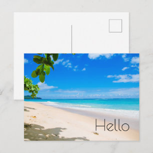 Carte Postale Belle plage tropicale ensoleillée Photo Bonjour