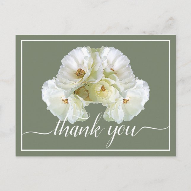 Carte Postale Belle Rose blanche Couleur fond Merci chic (Devant)