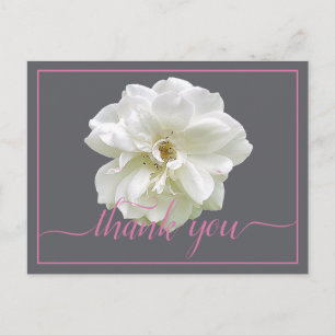 Carte Postale Belle Rose blanche Couleur fond Merci chic