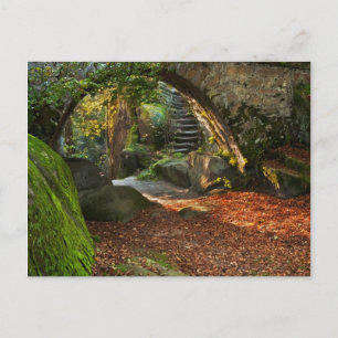 Carte Postale Belle scène d'automne